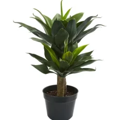 Kirkland's Home Double Agave Succulent, 29 In.- Trees & Topiaries