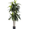 Kirkland's Home Dracaena Uv Resistant Plant- Trees & Topiaries