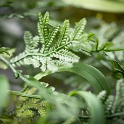 Kirkland's Home Draping Fern Wreath, 32 In.- Wreaths