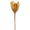 Kirkland's Home Dried And Dyed Jumbo Banksia Stems, Set Of 3- Stems & Bouquets