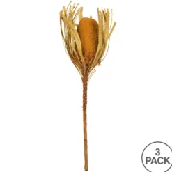 Kirkland's Home Dried And Dyed Jumbo Banksia Stems, Set Of 3- Stems & Bouquets