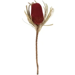 Kirkland's Home Dried Jumbo Banksia Stems, Set Of 3- Stems & Bouquets