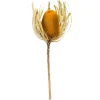 Kirkland's Home Dried Jumbo Banksia Stems, Set Of 3- Stems & Bouquets