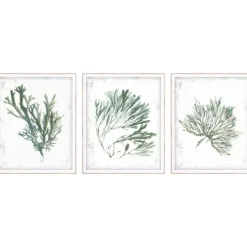 Kirkland's Home Emerald Coral I 3-Pc. Framed Art Print Set- Framed Art