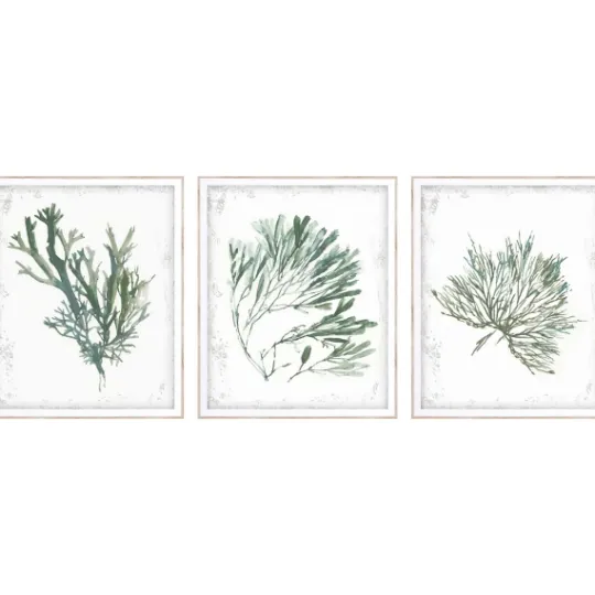 Kirkland's Home Emerald Coral I 3-Pc. Framed Art Print Set- Framed Art