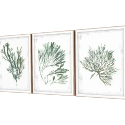 Kirkland's Home Emerald Coral I 3-Pc. Framed Art Print Set- Framed Art