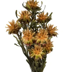 Kirkland's Home En Preserved Plumosum Flower Bundle- Stems & Bouquets