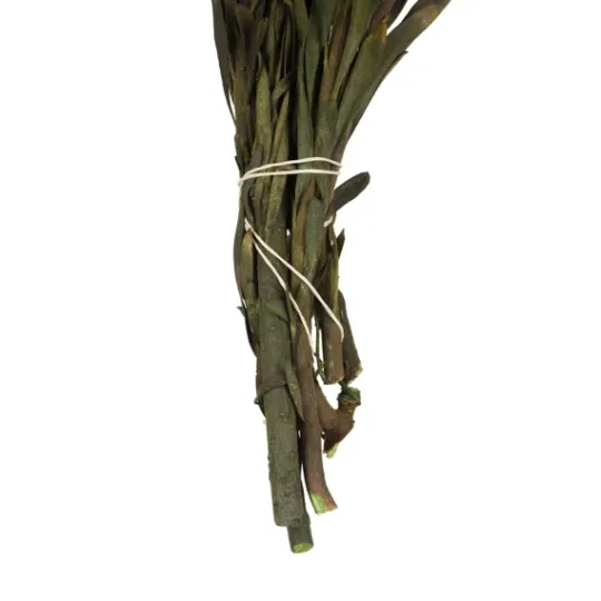 Kirkland's Home En Preserved Plumosum Flower Bundle- Stems & Bouquets