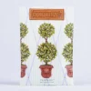 Kirkland's Home English Ivy Sachet- Sachets