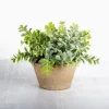 Kirkland's Home Ery Arrangement In Terracotta Pot- Arrangements & Greenery