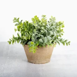 Kirkland's Home Ery Arrangement In Terracotta Pot- Arrangements & Greenery