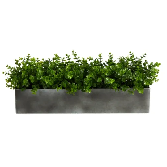 Kirkland's Home Eucalyptus Arrangement In Gray Planter Box- Arrangements & Greenery