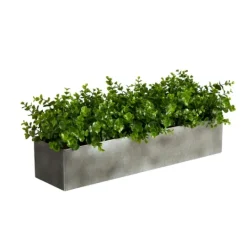 Kirkland's Home Eucalyptus Arrangement In Gray Planter Box- Arrangements & Greenery