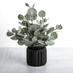Kirkland's Home Eucalyptus Arrangement In Black Planter- Arrangements & Greenery