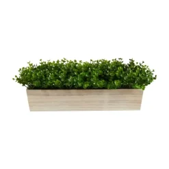 Kirkland's Home Eucalyptus Arrangement In Wide Wooden Planter- Arrangements & Greenery