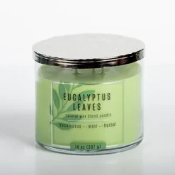 Kirkland's Home Eucalyptus Leaves Triple Wick Jar Candle- Candles