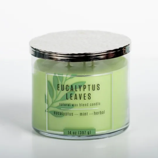 Kirkland's Home Eucalyptus Leaves Triple Wick Jar Candle- Candles