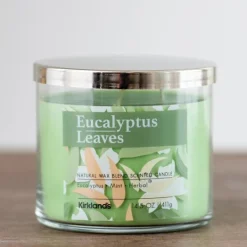 Kirkland's Home Eucalyptus Leaves 3-Wick Jar Candle- Candles