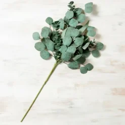 Kirkland's Home Eucalyptus Mix Stem- Stems & Bouquets