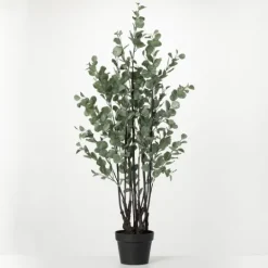 Kirkland's Home Eucalyptus Tree In Black Planter- Trees & Topiaries