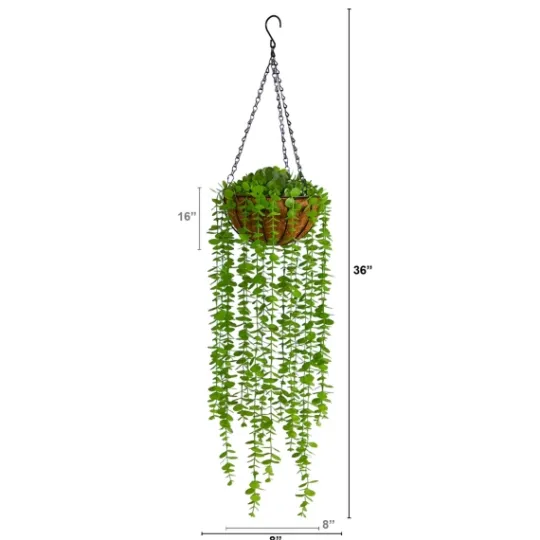 Kirkland's Home Eucalyptus Vines Hanging Basket- Arrangements & Greenery
