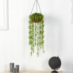 Kirkland's Home Eucalyptus Vines Hanging Basket- Arrangements & Greenery
