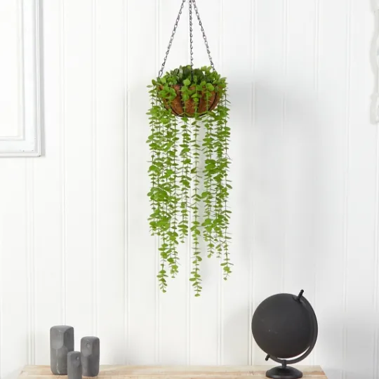 Kirkland's Home Eucalyptus Vines Hanging Basket- Arrangements & Greenery