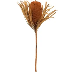 Kirkland's Home Fall Dried And Dyed Jumbo Banksia Stems, Set Of 3- Stems & Bouquets