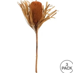 Kirkland's Home Fall Dried And Dyed Jumbo Banksia Stems, Set Of 3- Stems & Bouquets