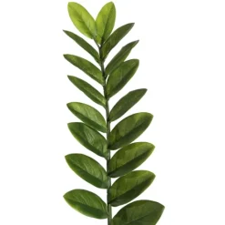 Kirkland's Home Faux Zamifolia Bush Potted Plant- Trees & Topiaries