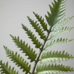 Kirkland's Home Feathered Fern In Black Nursery Planter- Trees & Topiaries