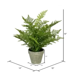 Kirkland's Home Fern Arrangement In Paper Pot- Arrangements & Greenery