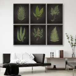 Kirkland's Home Fern Bookplate Vii Framed Art Print- Framed Art