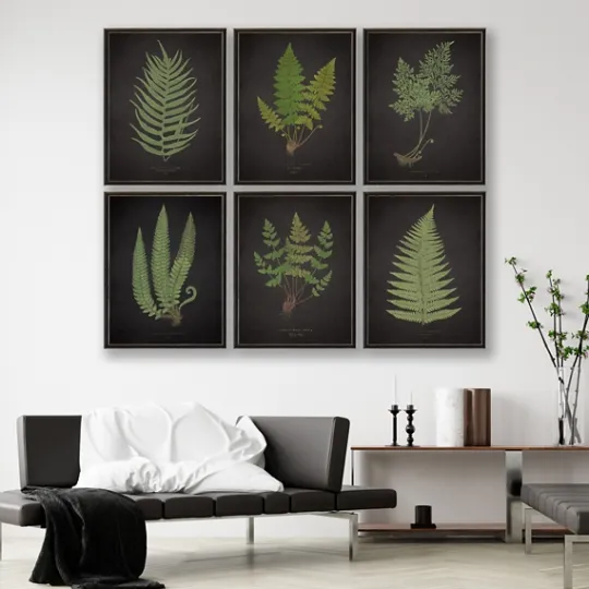 Kirkland's Home Fern Bookplate Vii Framed Art Print- Framed Art