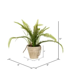 Kirkland's Home Fern Bush In Distressed Ivory Planter- Arrangements & Greenery