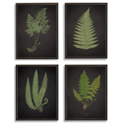 Kirkland's Home Fern Framed Art Prints, Set Of 4- Framed Art