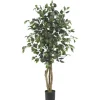 Kirkland's Home Ficus Silk Tree, 4 Ft.- Trees & Topiaries