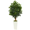 Kirkland's Home Ficus Tree In Mossy Tower Planter- Trees & Topiaries