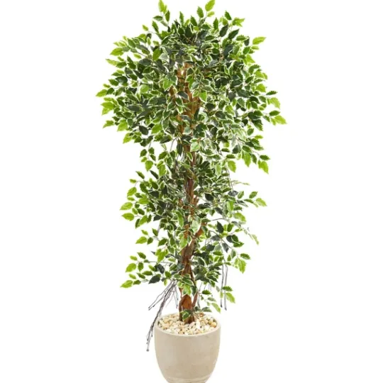 Kirkland's Home Ficus Tree In Sandstone Planter- Trees & Topiaries