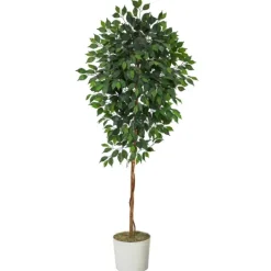 Kirkland's Home Ficus Tree With Moss In White Tin Planter- Trees & Topiaries