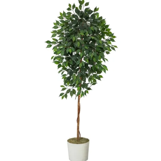 Kirkland's Home Ficus Tree With Moss In White Tin Planter- Trees & Topiaries