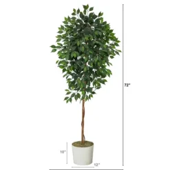 Kirkland's Home Ficus Tree With Moss In White Tin Planter- Trees & Topiaries