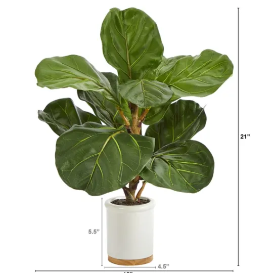 Kirkland's Home Fiddle Leaf Fig In White Ceramic Planter, 21 In.- Trees & Topiaries