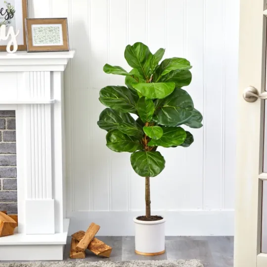 Kirkland's Home Fiddle Leaf Fig In White Ceramic Planter, 42 In.- Trees & Topiaries