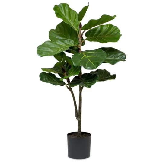 Kirkland's Home Fiddle Leaf Fig Tree In Black Planter- Trees & Topiaries