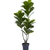 Kirkland's Home Fiddle Uv Resistant Tree- Trees & Topiaries