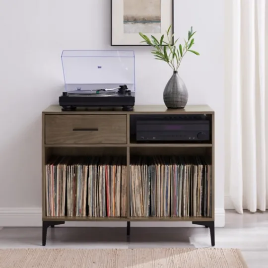 Kirkland's Home Finn Record Storage Media Cabinet- Tv Stands & Media Consoles