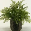 Kirkland's Home Flat Iron Fern Arrangement In Antiqued Planter- Arrangements & Greenery