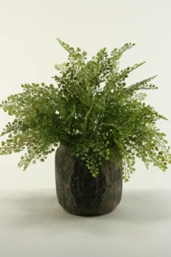 Kirkland's Home Flat Iron Fern Arrangement In Antiqued Planter- Arrangements & Greenery