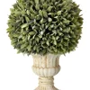 Kirkland's Home Flocked Sage Ball In Urn Arrangement, 15 In.- Trees & Topiaries